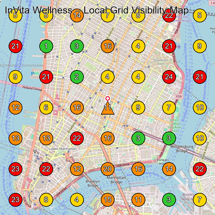 InVita Wellness Health Spa GeoGrid ranking map for New York NY